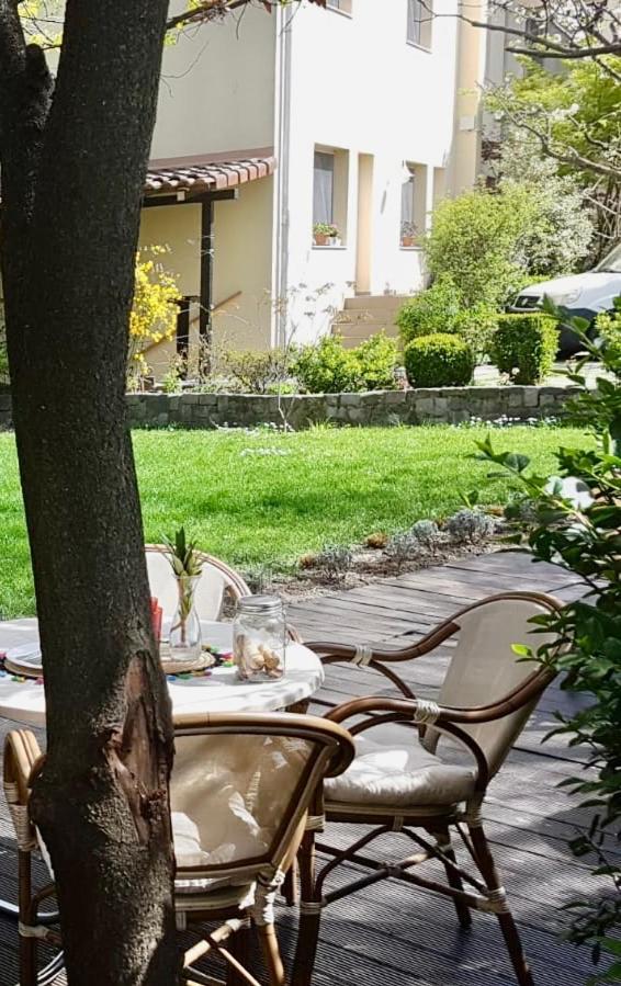 Hotel Vanilla Тимишоара Экстерьер фото